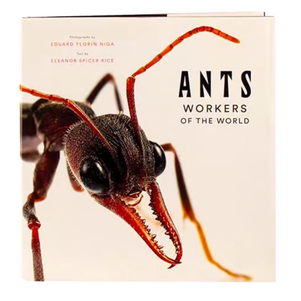 ANTS ~ Workers of the World ~ Hardcover Coffee Table Book ~ Illustrated